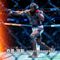 UFC重量级冠军乔恩·琼斯，站立打击与摔跤结合的代表人物
